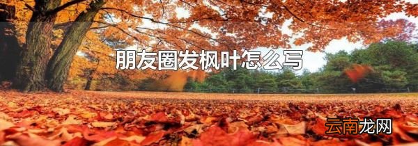 朋友圈发枫叶怎么写