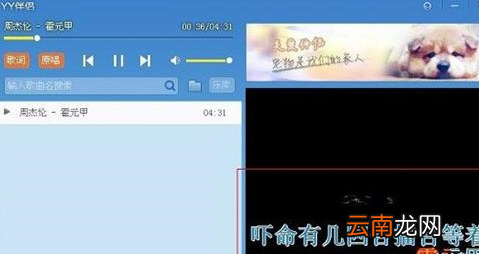 YY伴侣具体使用方法介绍