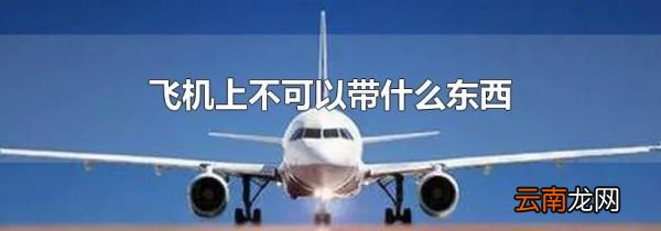 飞机上不可以带什么东西