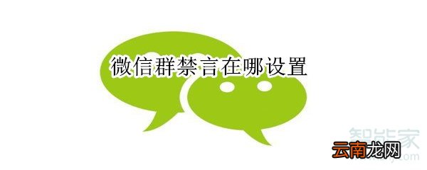 微信群禁言在哪设置