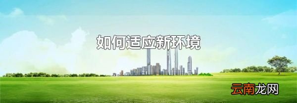 如何适应新环境
