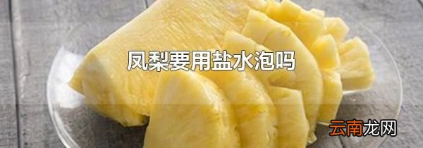 凤梨要用盐水泡吗