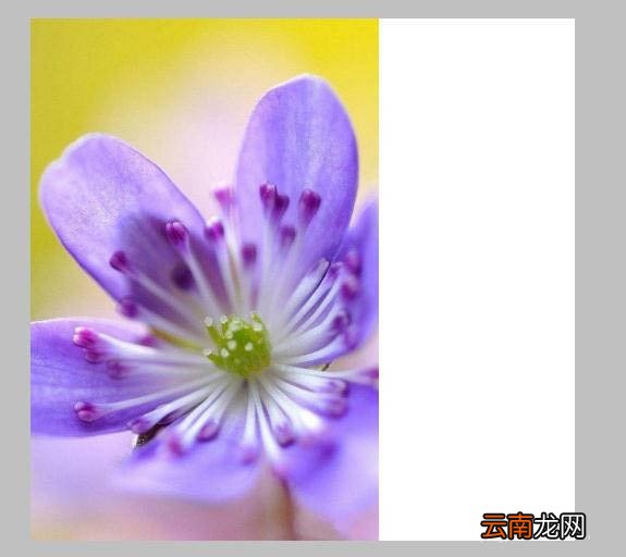 ps快速为两张图片做自然过渡具体操作方法
