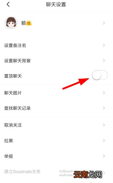 soul中置顶聊天详细操作流程