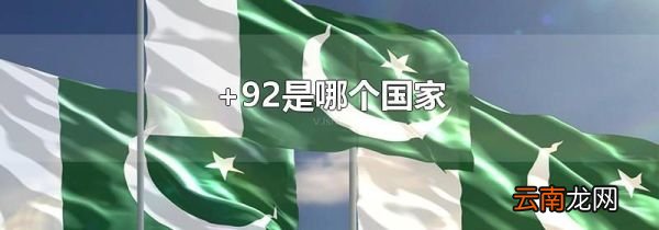 +92是哪个国家