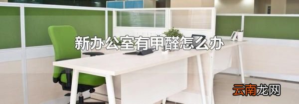 新办公室有甲醛怎么办