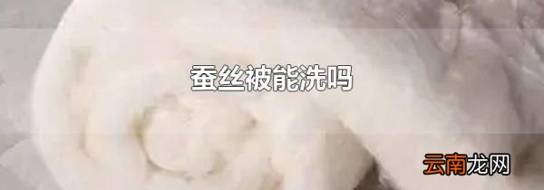 蚕丝被能洗吗