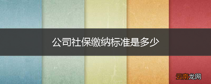 公司社保缴纳标准是多少