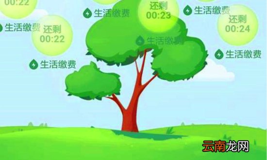 支付宝中刷蚂蚁森林能量具体操作方法
