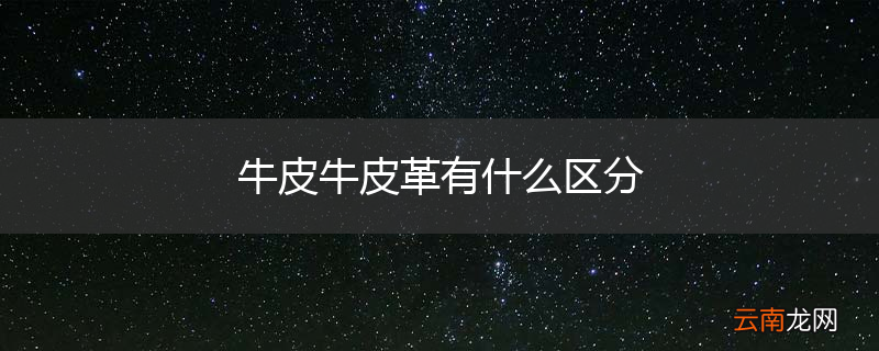 牛皮牛皮革有什么区分