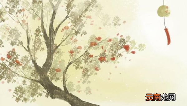 自古逢秋悲寂寥全诗解释 自古逢秋悲寂寥全诗解释是什么