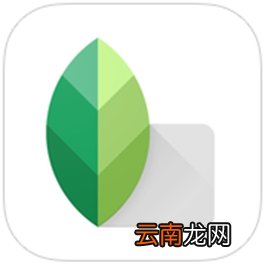 snapseed中调节画面倾斜程度具体操作方法
