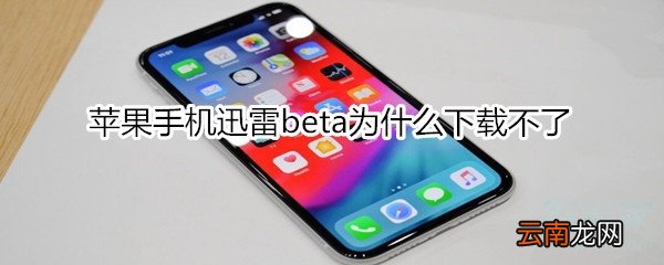 苹果手机迅雷beta为什么下载不了