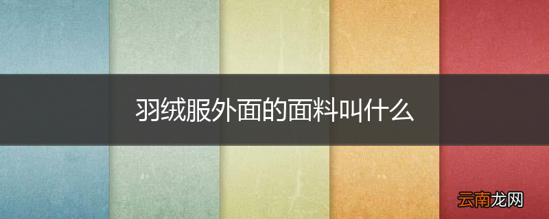 羽绒服外面的面料叫什么