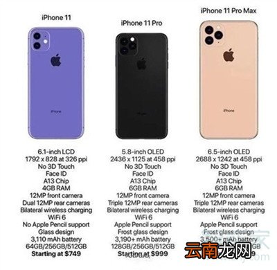 iphone11什么时候上市