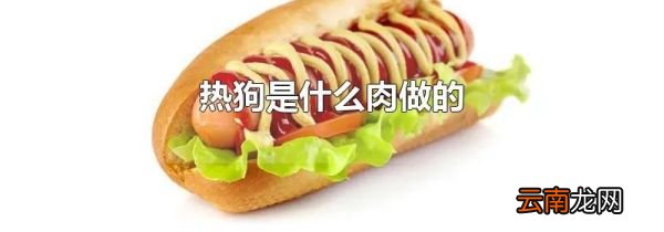 热狗是什么肉做的