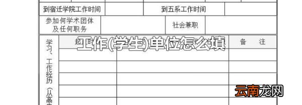 学生 工作单位怎么填