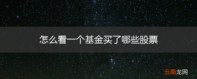 怎么看一个基金买了哪些股票