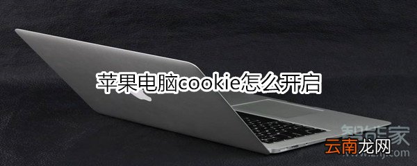 苹果电脑cookie怎么开启
