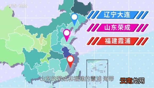 中国海带的产地主要在哪里 海带主产地在什么地方