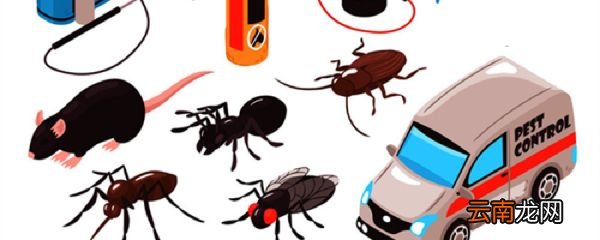 灭鼠方法 灭鼠方法有哪些
