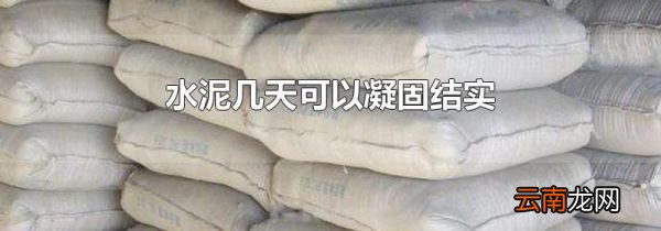 水泥几天可以凝固结实