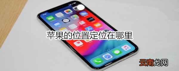 苹果的位置定位在哪里