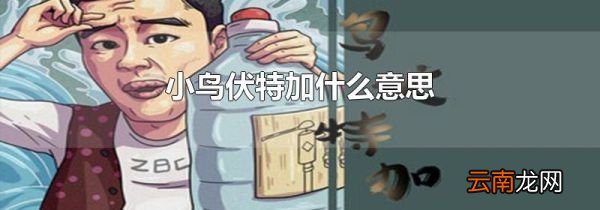 小鸟伏特加什么意思