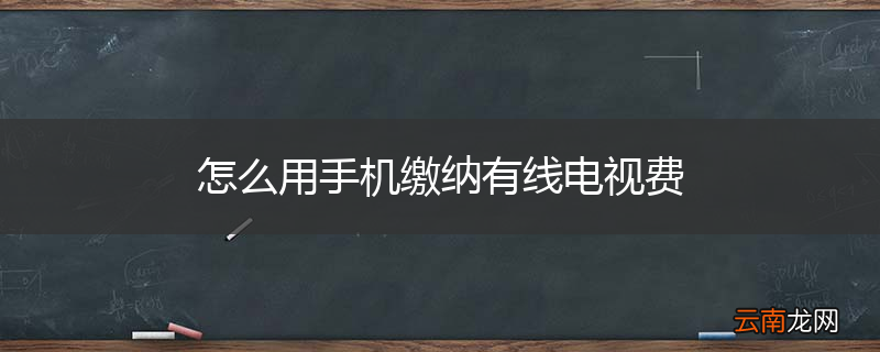 怎么用手机缴纳有线电视费