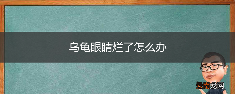 乌龟眼睛烂了怎么办
