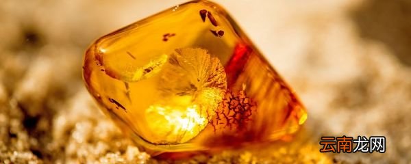 琥珀这篇课文主要讲了什么 琥珀课文主要内容
