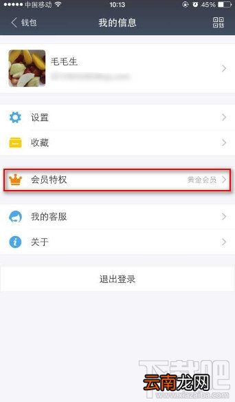 支付宝黄金/铂金/钻石会员怎么开通 支付宝会员怎么积分