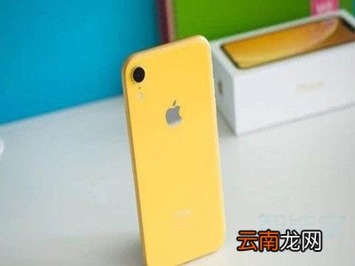xr动态壁纸怎么不会动