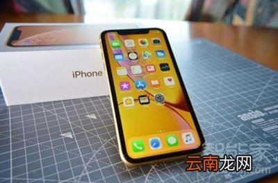 xr动态壁纸怎么不会动