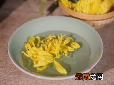 菊花酒制作方法