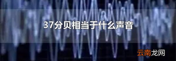 37分贝相当于什么声音