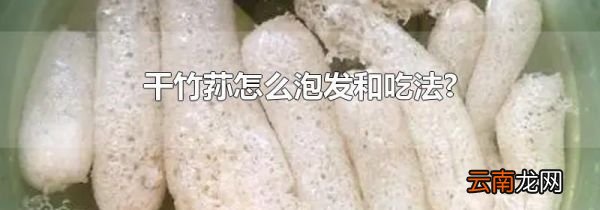 干竹荪怎么泡发和吃法?