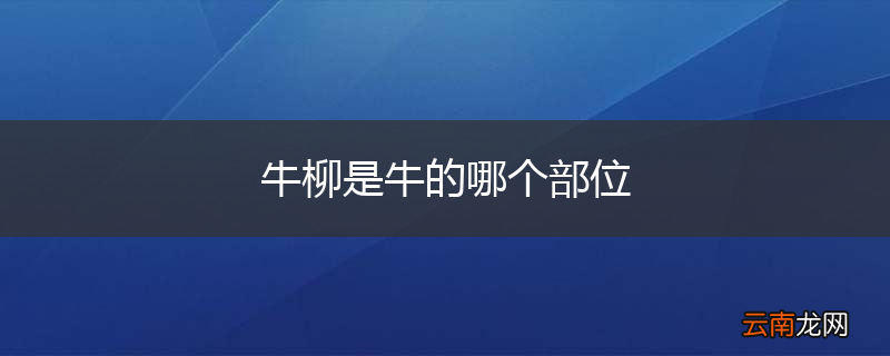 牛柳是牛的哪个部位