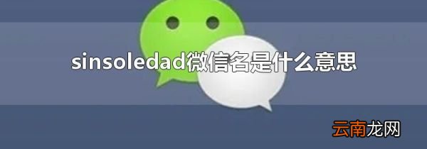 sinsoledad微信名是什么意思