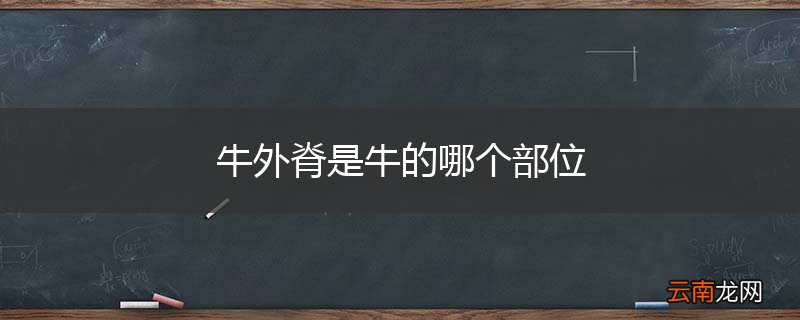 牛外脊是牛的哪个部位