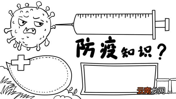防疫情手抄报内容