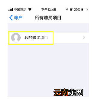 苹果手机下载记录在哪里找