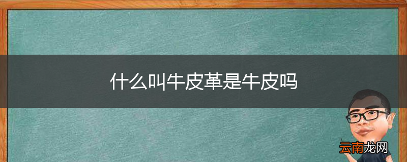 什么叫牛皮革是牛皮吗