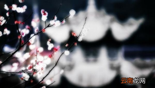 《赠花卿》带上拼音 赠花卿的拼音版