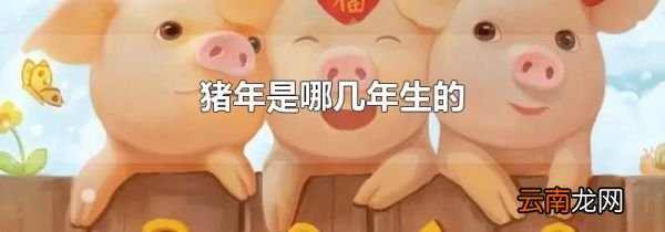 猪年是哪几年生的