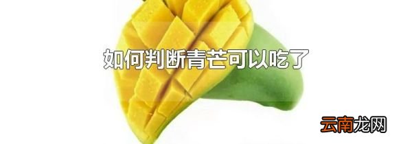 如何判断青芒可以吃了