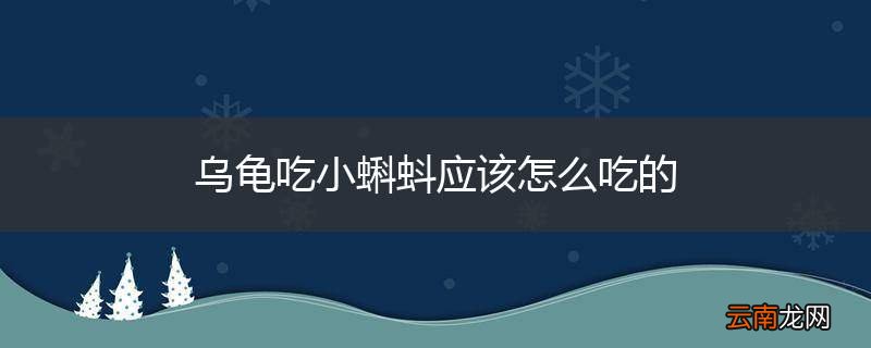 乌龟吃小蝌蚪应该怎么吃的