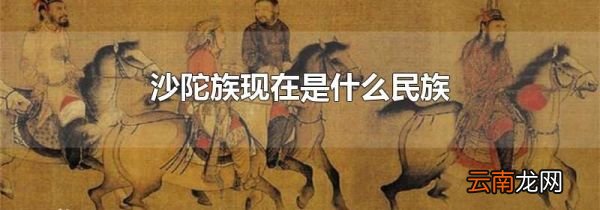 沙陀族现在是什么民族