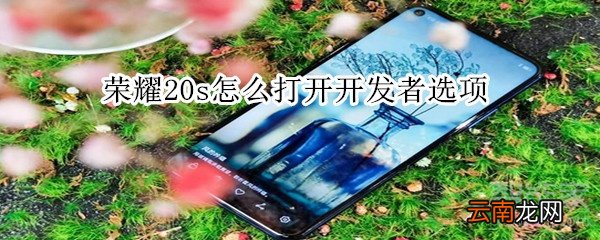 荣耀20s开发者选项怎么打开