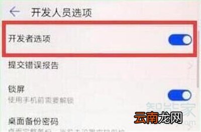 荣耀20s开发者选项怎么打开